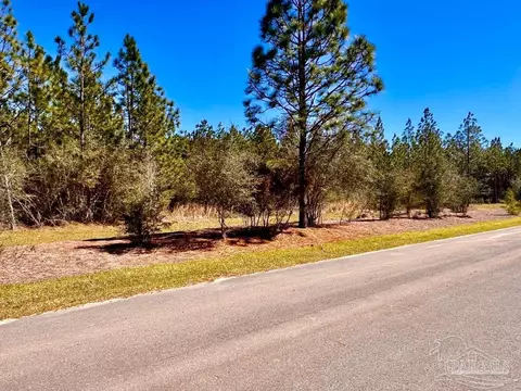 lot33 Pine Preserve Ln, Pace, FL 32571 photo 10