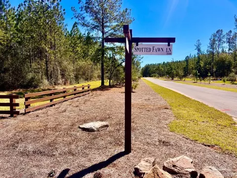 lot33 Pine Preserve Ln, Pace, FL 32571 photo 7