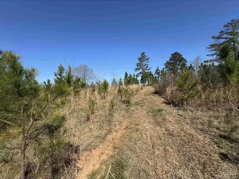 lot2 Will Jones Rd, Jay, FL 32565