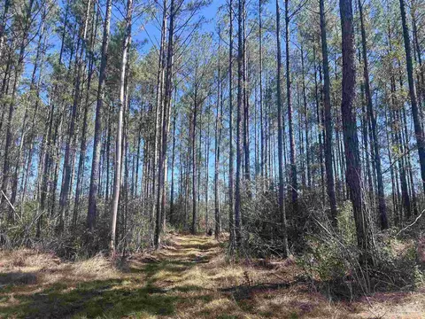 8 Robinsonville Rd, Atmore, AL 36502