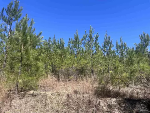 7 Robinsonville Rd, Atmore, AL 36502