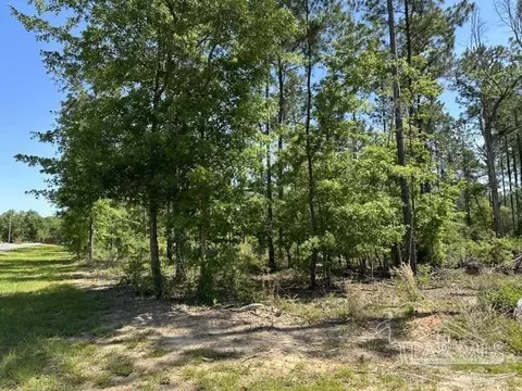 17 Steele Meadow Dr, Pace, FL 32571 photo 3