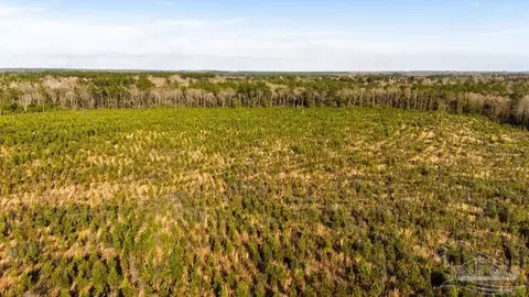 15 Polktown Rd # B, Jay, FL 32565 photo 20