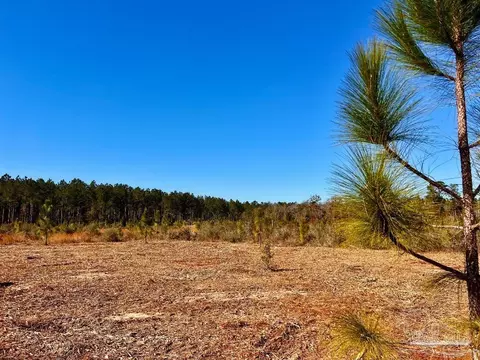lot52 S Timber Ln, Pace, FL 32571 photo 11