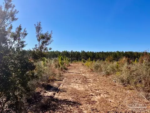 lot52 S Timber Ln, Pace, FL 32571 photo 8