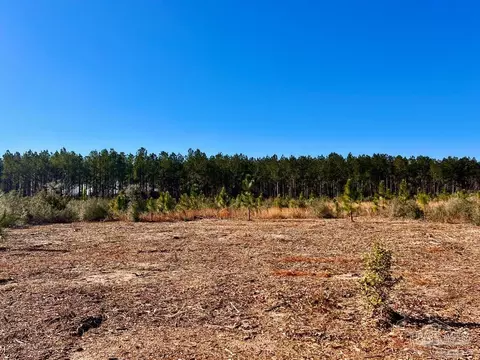 lot52 S Timber Ln, Pace, FL 32571 photo 10