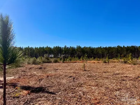 lot52 S Timber Ln, Pace, FL 32571 photo 9