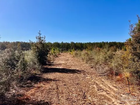 lot52 S Timber Ln, Pace, FL 32571 photo 7
