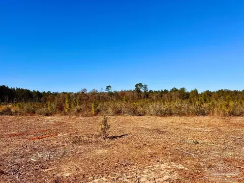 lot52 S Timber Ln, Pace, FL 32571 photo 12