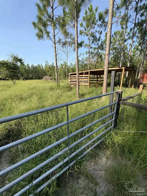Other - 7568 Spears Crossing Ln, Pace, FL 32571 photo 15 of 18