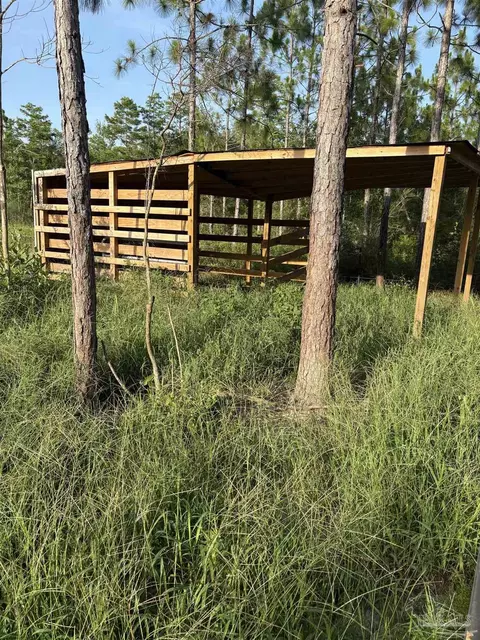 Other - 7568 Spears Crossing Ln, Pace, FL 32571 photo 16 of 18