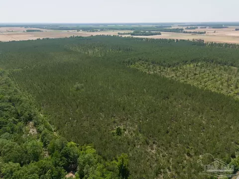 11 Bud Diamond Rd, Jay, FL 32565