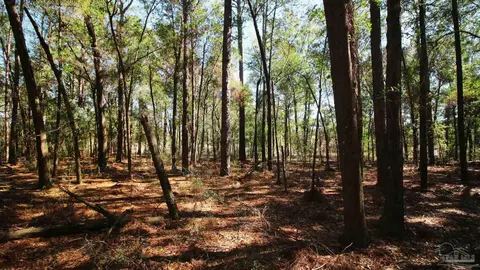0 Hetzel Dr, Milton, FL 32570 photo 7