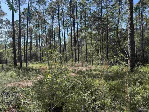 N 14th Ave, Milton, FL 32570 photo 2