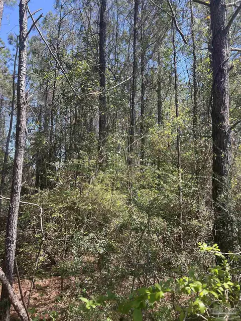 00 Dykestown Rd, Jay, FL 32565 photo 9