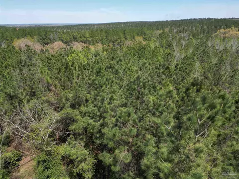 00 Dykestown Rd, Jay, FL 32565 photo 2