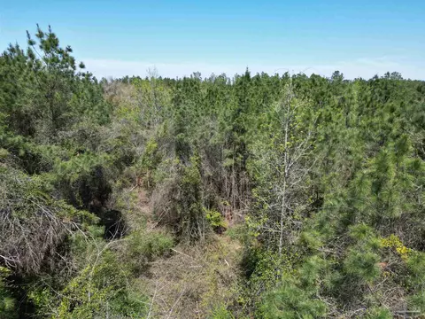 00 Dykestown Rd, Jay, FL 32565 photo 3