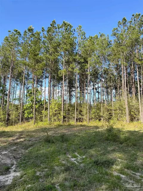 0000 10 Mile Rd, Pace, FL 32571 photo 16