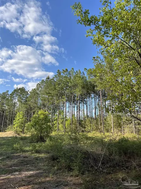 0000 10 Mile Rd, Pace, FL 32571 photo 10