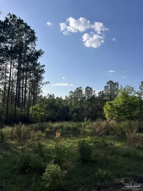 0000 10 Mile Rd, Pace, FL 32571 photo 15