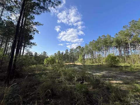 0000 10 Mile Rd, Pace, FL 32571 photo 14