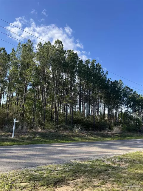 0000 10 Mile Rd, Pace, FL 32571 photo 3