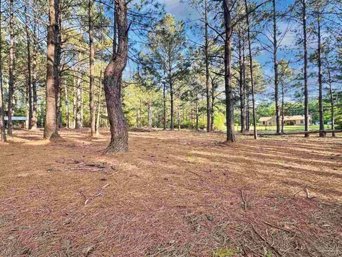 Exterior - 13505 N Hwy 87, Jay, FL 32565 photo 19 of 23