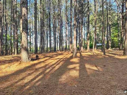 Other - 13505 N Hwy 87, Jay, FL 32565 photo 11 of 12