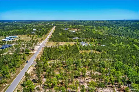 lot51 Buffalo Ridge Rd, Pace, FL 32571 photo 9