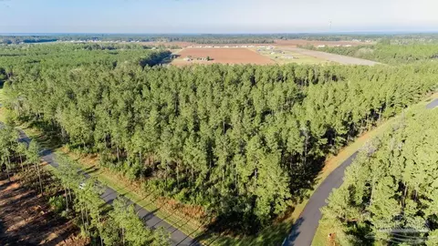 lot66 Sage Forest Ln, Pace, FL 32571 photo 8
