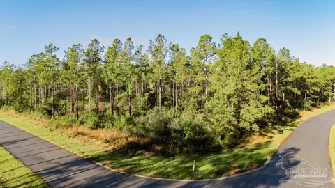 lot66 Sage Forest Ln, Pace, FL 32571 photo 17