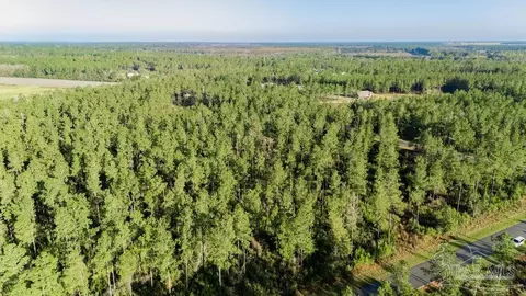 lot66 Sage Forest Ln, Pace, FL 32571 photo 3