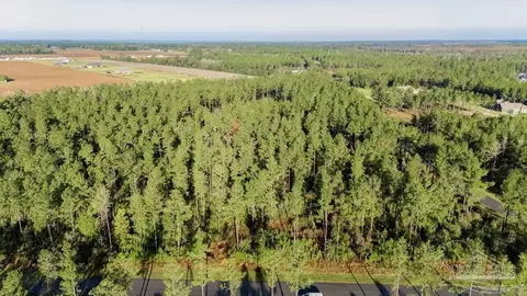 lot66 Sage Forest Ln, Pace, FL 32571 photo 12