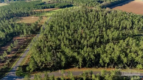 lot66 Sage Forest Ln, Pace, FL 32571 photo 7