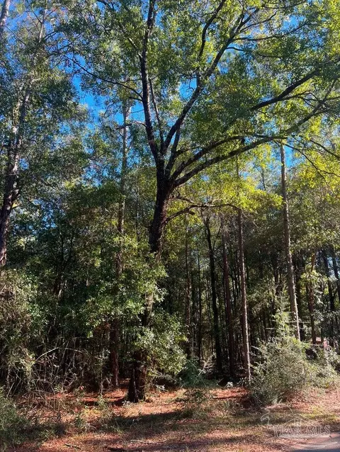 4 7 Acres Riverchase Rd, Harold, FL 32563
