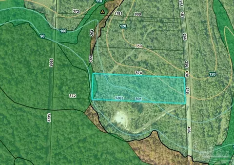 tbd Walling Rd, Jay, FL 32565 photo 16