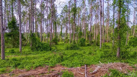 0004 Martin Rd, Milton, FL 32570 photo 3