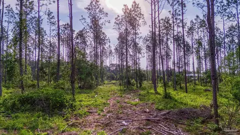0005 Martin Rd, Milton, FL 32570 photo 5