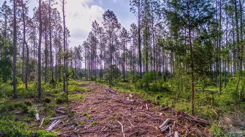 0005 Martin Rd, Milton, FL 32570 photo 4