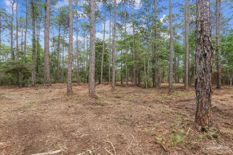 0 Bay Meadows Dr, Milton, FL 32583 photo 10