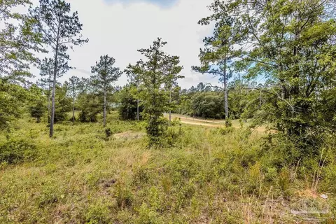 7435 Tidwell Rd, Pace, FL 32571 photo 2