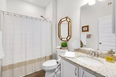 Bath - 4137 Heart Pine Ln, Pace, FL 32571 photo 3 of 3
