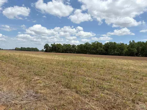 15028 N Hwy 87, Jay, FL 32565 photo 3