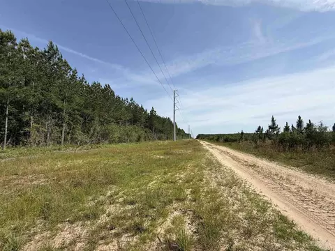 lot57 S Timber Ln, Jay, FL 32565 photo 22