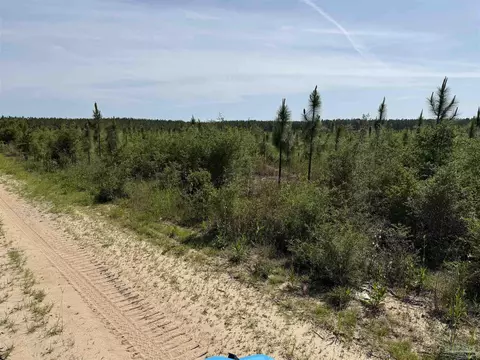 lot57 S Timber Ln, Jay, FL 32565 photo 30