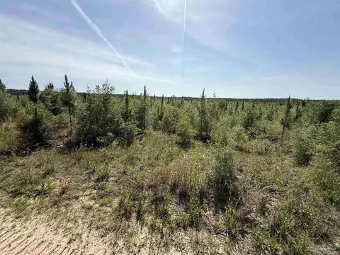 lot57 S Timber Ln, Jay, FL 32565 photo 26