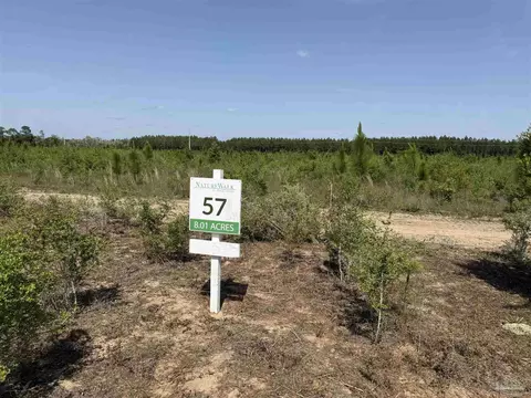 lot57 S Timber Ln, Jay, FL 32565 photo 21