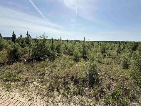 lot57 S Timber Ln, Jay, FL 32565 photo 27