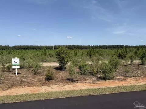 lot57 S Timber Ln, Jay, FL 32565 photo 20