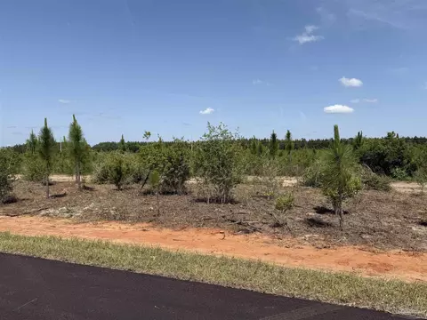 lot57 S Timber Ln, Jay, FL 32565 photo 15